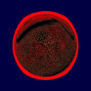 Eclipse II