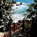 Chemin vers la mer