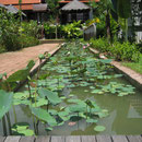 Bhandari-Resort, Khao-Lak
