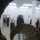 Vernissage Kunstkombinat