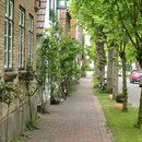 Lange Straße - Arnis