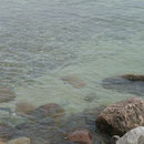 Unterwasserwelten Schlei