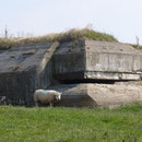 www.gitesdumarquenterre.com Chambres d'Hôtes et gîtes L'hélias - les 2 caps : cap gris nez, cap blanc nez
