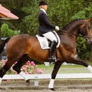 Auktion 2009