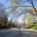 irgendwo in Atlanta... die Stadt hat sehr viel Grün zu bieten... wunderschön! :)