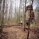 eine alte Ruine