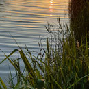 am Woblitzsee
