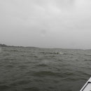 einmal schräg über'n Strelasund