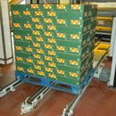 tray palletiser