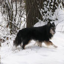Cheyenne unser altes Mädchen
