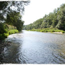 Traisen