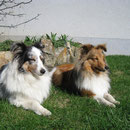 Young Romance "Fly" und Firefox "Yoshi" nehmen ein Sonnenbad