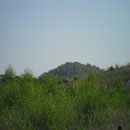 Terril