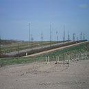 De afgevlakte terril is nu ook een industriezone
