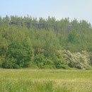 terril