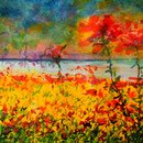 Anne Marie HOUET-BAZIN  "coquelicots 2"  techniques mixtes   40  x 30 