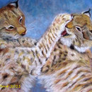 Anne BOUR  "Des petits lynx"   pastel sec      65 x 50