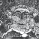 The Spider and The Fly - Graphite - 22" x 28" Original Art - $2000.00 *Prints available (limited to 250 prints 13" x 19" - $25.00