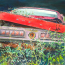 A Classic She B  26 X 34  Watercolor    SOLD