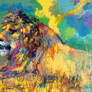 Resting Lion 26.75x36 $4200