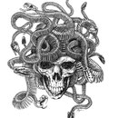 Medusa - Pen and Ink - 16" x 20" Original Art $650.00 *Prints available (limited to 250 prints 11" x 14" $20.00)