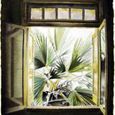 Machetes of the Moncada Barracks  20 X 16  Watercolor   SOLD