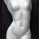 Charisma-Torso, SOLDOUT