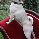 Ich, eine Diva? Pffffff....