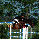 Gotha Brecourt CSI Auvers (FRA)