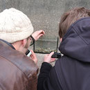 Me and Sjuul while photographing newts. © Laura Tiemann