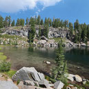 Habitat for Western Toads and Sierran Treefrogs.