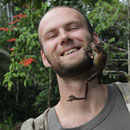 gladiator treefrog (Hypsiboas boans) in your face!