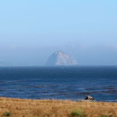 Morro Rock in the distance.