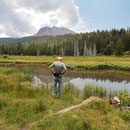 Along this little lake...