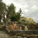 Arrival in Kaunos, happy goats everywhere.
