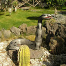 First snake of the day in the garden of our B&B.