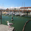 Fisherman's Wharf