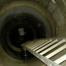 Viper trapped in a well