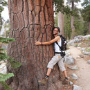 Tree hugger