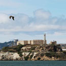 Alcatraz
