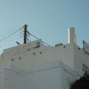 Obligatory picture when on Milos