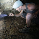 Maybe some adult firesalamanders also hiding in there... © Laura Tiemann