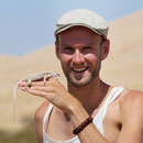 Having a closer look at a Desert Iguana (Dipsosaurus dorsalis)