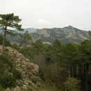 Het Corsicaanse bergland