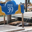 Pier 39