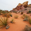 White Domes Trail with rock in the most bizarre colours.