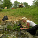 Laura shooting salamanders.