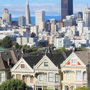 Painted Ladies