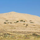Kelso Sand Dunes