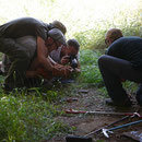 Bert and me in amplexus while photographing the first viper. © Daniel Bohle